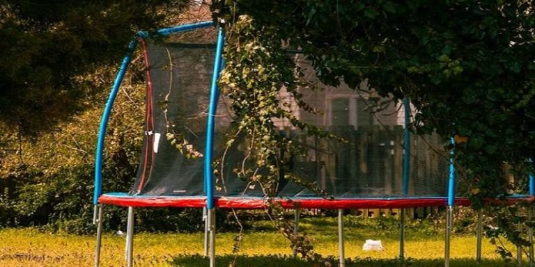 Backyard Activities For Kids