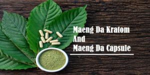 Read more about the article All About To Know Maeng Da Kratom And Maeng Da Capsules