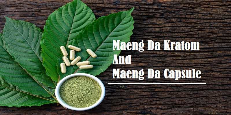 You are currently viewing All About To Know Maeng Da Kratom And Maeng Da Capsules