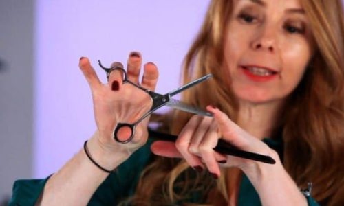 How To Hold Hair Cutting Scissors?