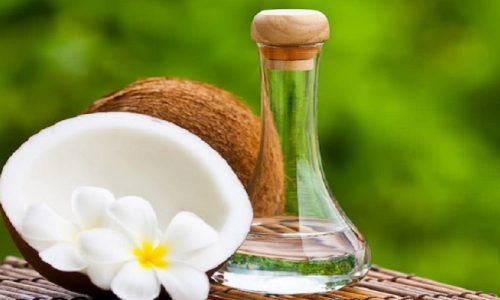 Castor Oil Vs Coconut Oil – What’s The Difference?