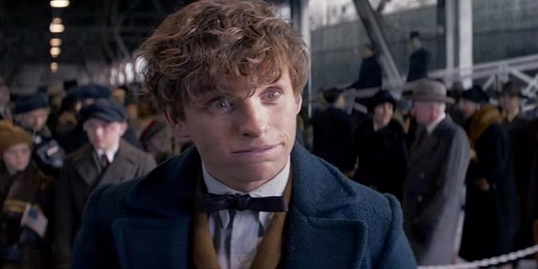 How To Get Newt Scamander Hair