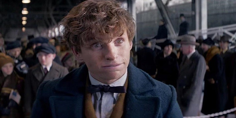 You are currently viewing How To Get Newt Scamander Hair?