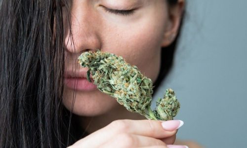 How To Get Weed Smell Out Of Hair Follicles?