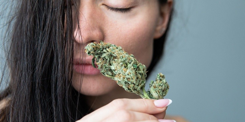 How To Get Weed Smell Out Of Hair Follicles?