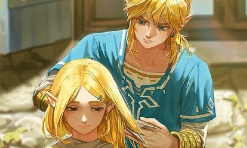 How To Change Links Hair Botw?