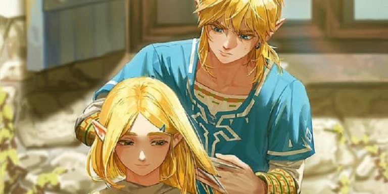 How To Change Links Hair Botw