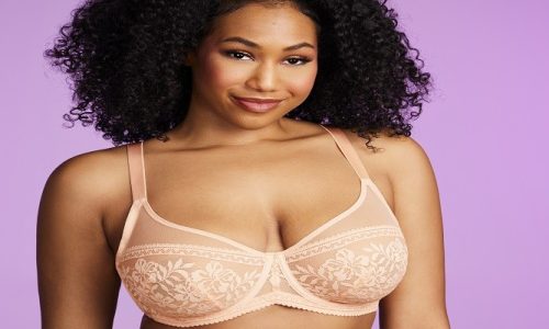 Hsia Bras: The Fashionable and High-Quality Choice Loved by Women