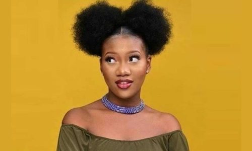 Chinenye Nnebe Biography, Age, Parents, Husband, Twin Sister, Net Worth