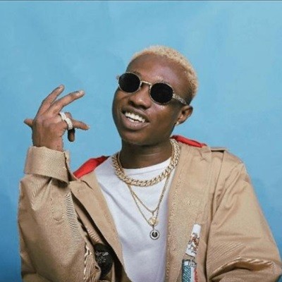 Zlatan Ibile Biography