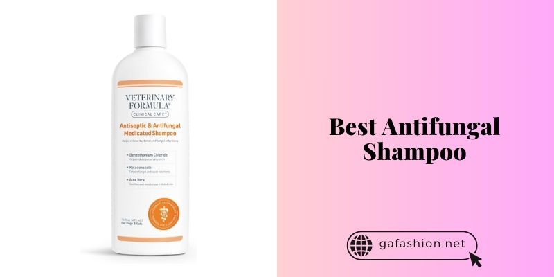 best antifungal shampoo